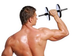 Academia de ginástica Séries para musculação masculina