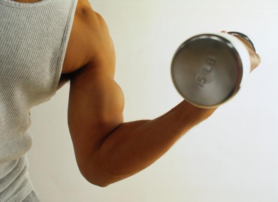 Musculação para iniciantes Como começar a musculação
