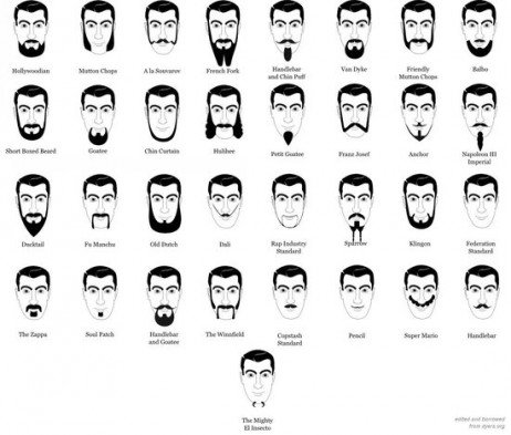 Tipos de barba