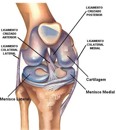 Tipos de cirurgia de joelho