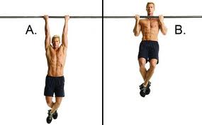 Exercícios para bíceps