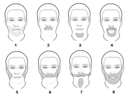 Tipos de barba