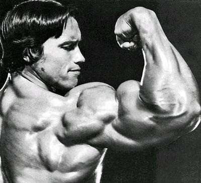 Fisiculturismo como modelo para musculação