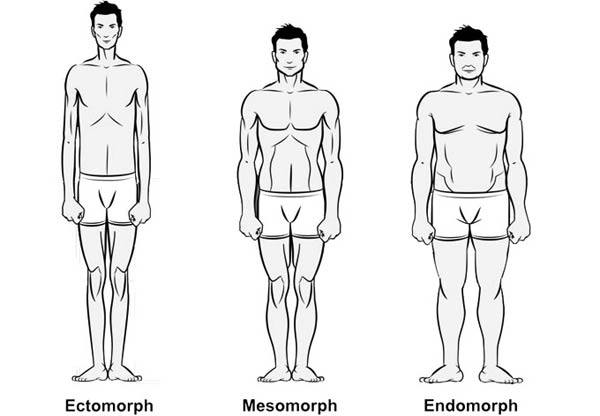Tipos de corpo masculino