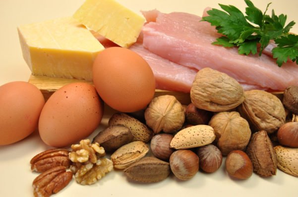Lanches proteicos