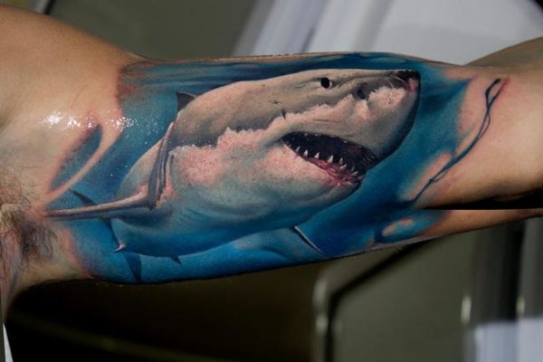 Ideias de tatuagem de tubarão