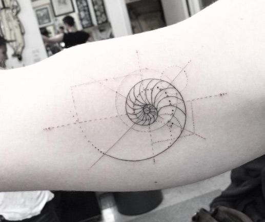 Tatuagens de conchas
