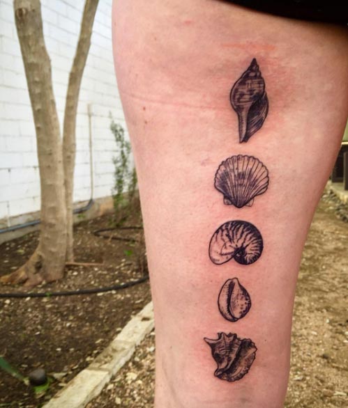 Tatuagens de conchas