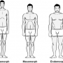 Como saber qual o seu tipo de corpo?